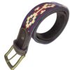 Cinturón Guardas Pampa Salta