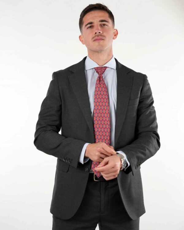 Corbata Omega grey - Imagen 5