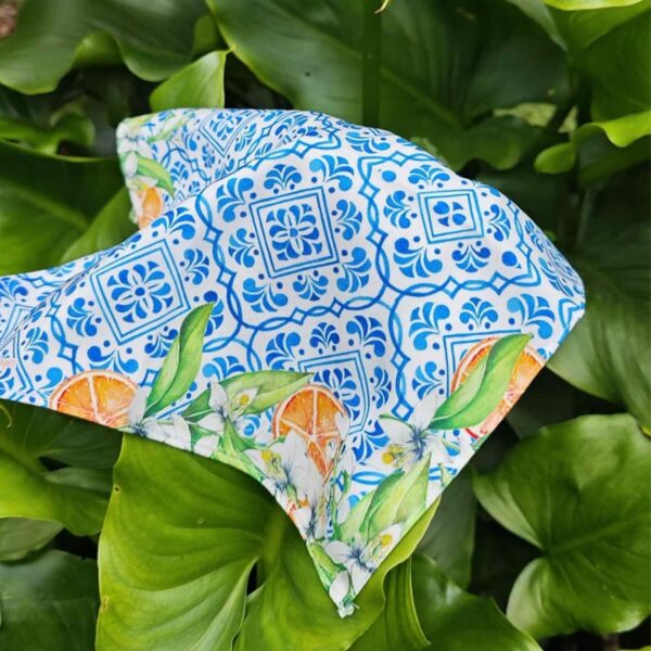 Azulejo & Naranjas - LTCxTRB - Imagen 3